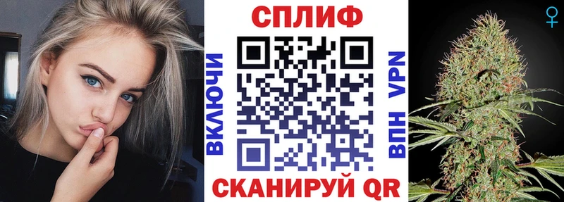 Конопля гибрид  Северо-Курильск 